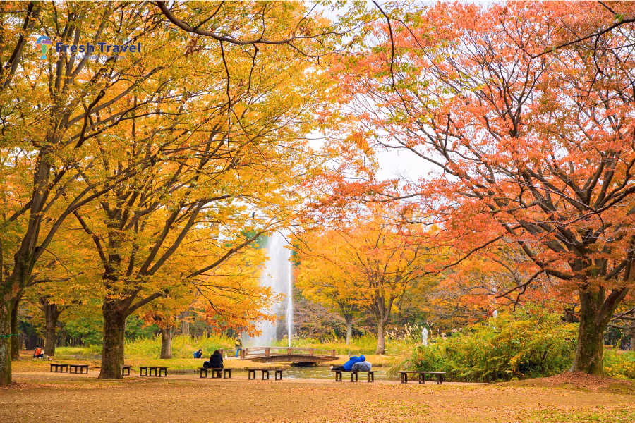 Công viên Yoyogi