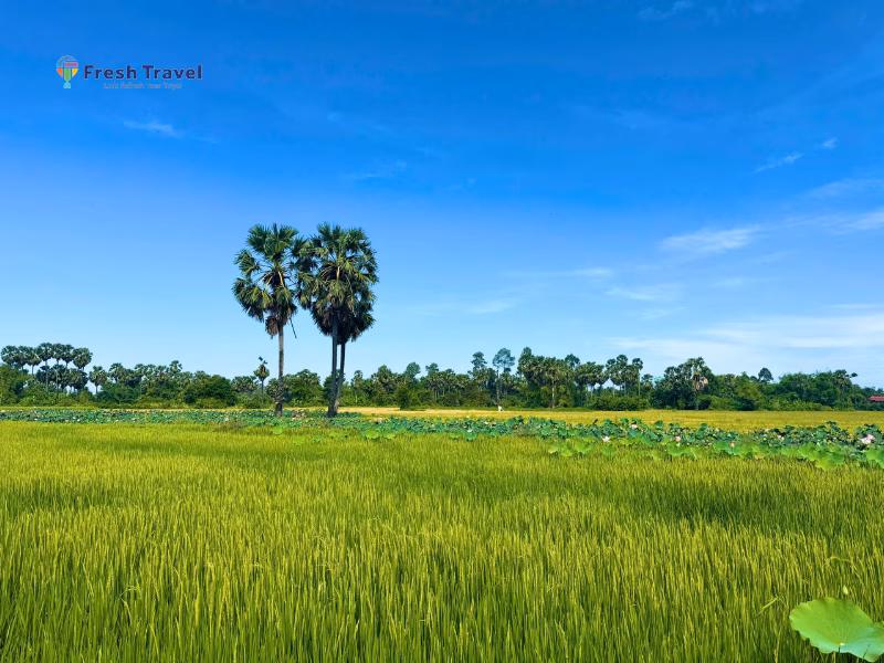 Tour CAMBODIA | THIÊN ĐƯỜNG NGHỈ DƯỠNG  MONDULKIRI – KRATIE 
