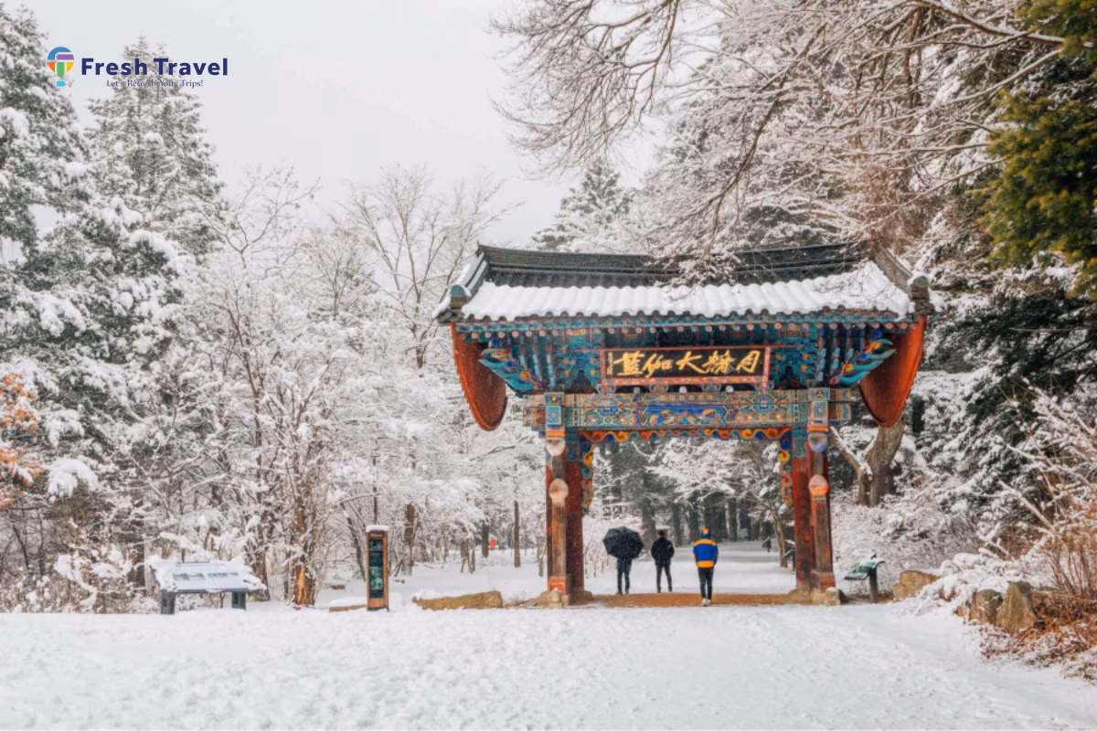 Mùa đông Hàn Quốc kéo dài từ tháng 12 đến cuối tháng 2 năm sau