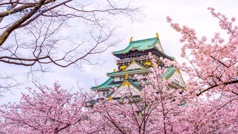 Tour NHẬT BẢN CUNG ĐƯỜNG VÀNG | OSAKA-KYOTO-NAGOYA-FUJI-TOKYO