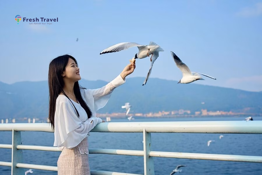 HÀN QUỐC MÙA HOA ANH ĐÀO 4N4Đ | SEOUL – NAMI - EVERLAND - CÔNG VIÊN YEOUIDO