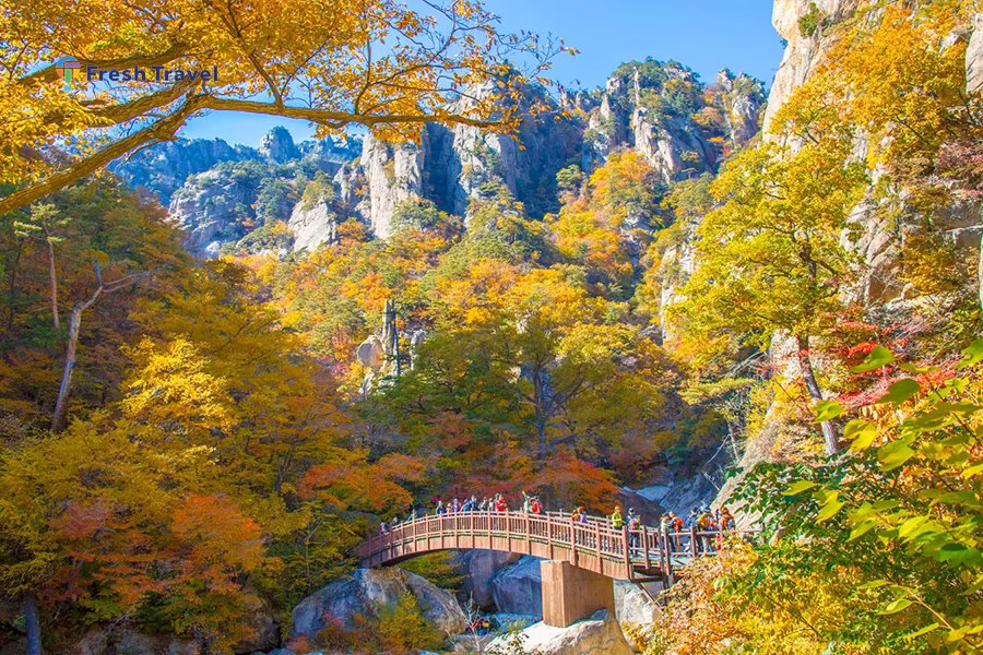 Tour HÀN QUỐC MÙA THU | SEOUL – NAMI – SEORAK - SOKCHO