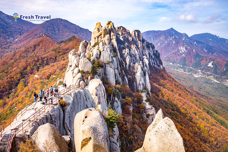 Tour HÀN QUỐC MÙA THU | SEOUL – NAMI – SEORAK - SOKCHO