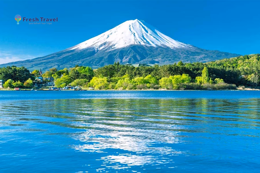 Tour NHẬT BẢN CUNG ĐƯỜNG VÀNG | OSAKA-KYOTO-NAGOYA-FUJI-TOKYO