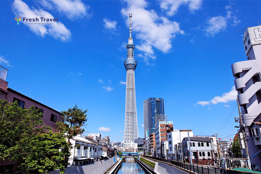 Tour NHẬT BẢN CUNG ĐƯỜNG VÀNG | OSAKA-KYOTO-NAGOYA-FUJI-TOKYO