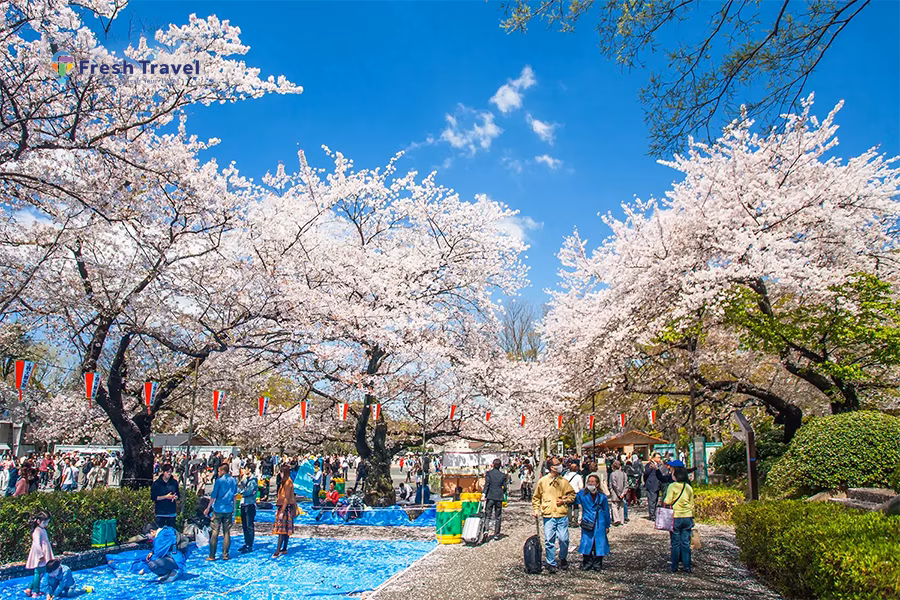 Tour NHẬT BẢN CUNG ĐƯỜNG VÀNG | OSAKA-KYOTO-NAGOYA-FUJI-TOKYO