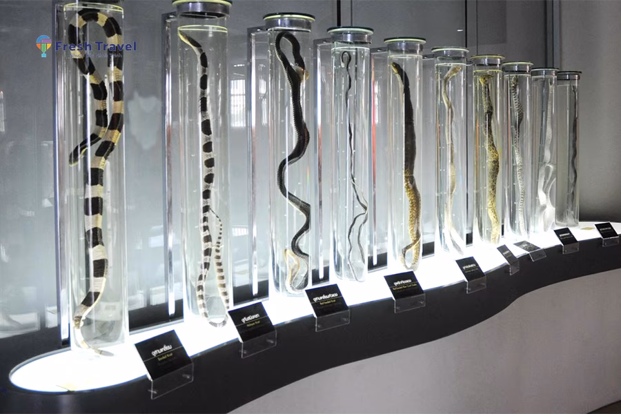 Tour DU LỊCH THÁI LAN | BANGKOK - PATTAYA