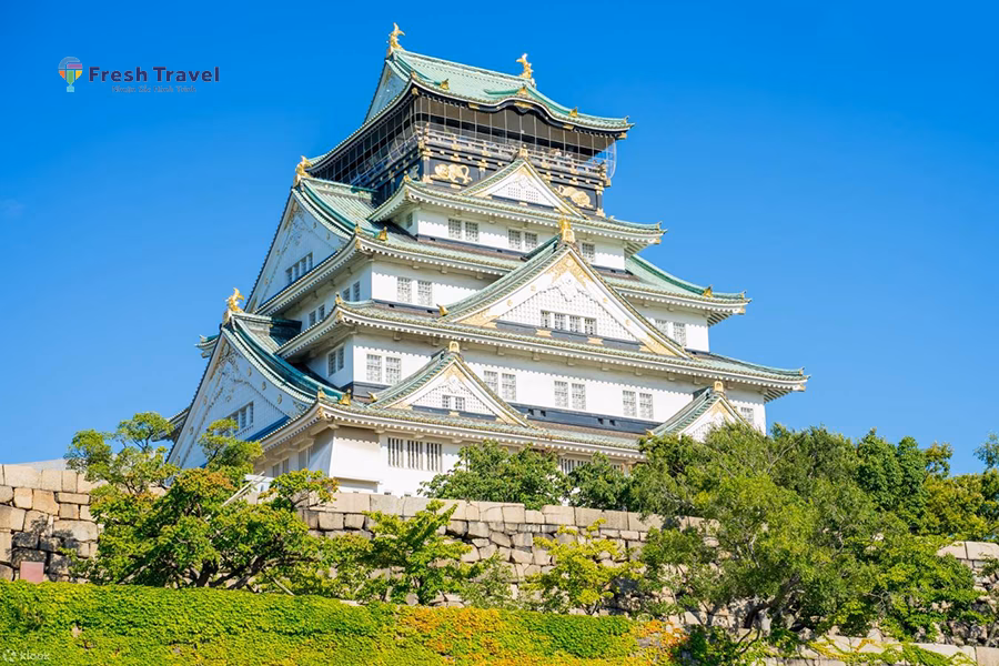 Tour CUNG ĐƯỜNG VÀNG NHẬT BẢN |  OSAKA – KYOTO - NAGOYA - FUJI - TOKYO 