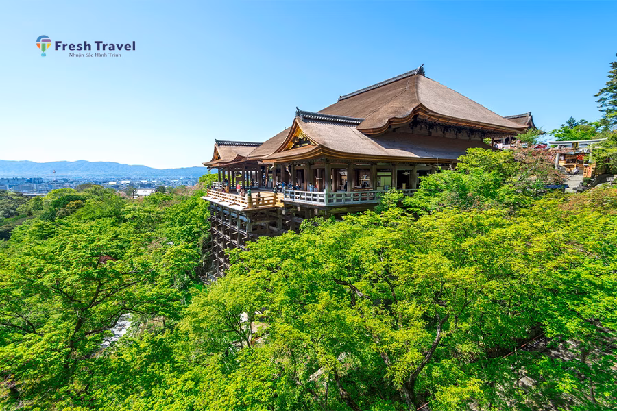 Tour NHẬT BẢN | CUNG ĐƯỜNG VÀNG TOKYO - NÚI PHÚ SĨ - NAGOYA - KYOTO - OSAKA
